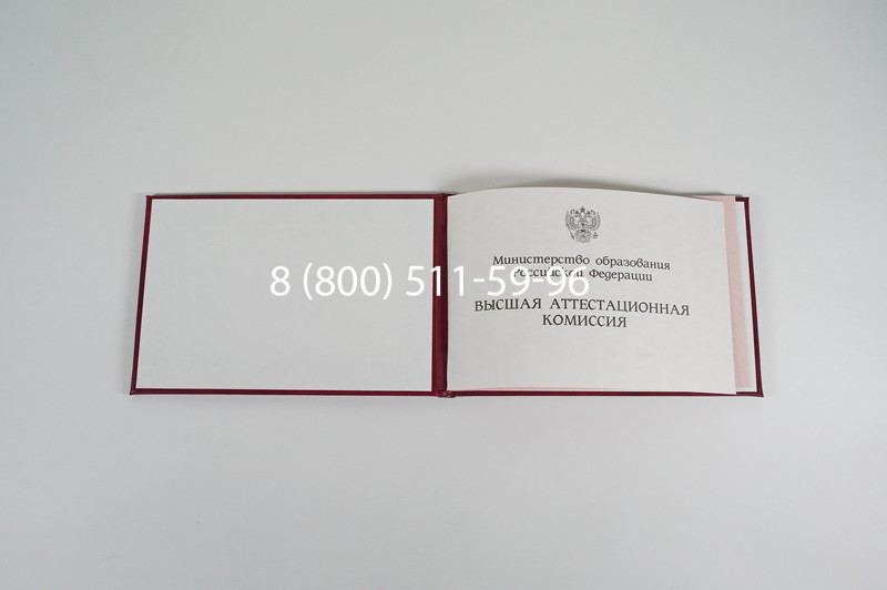 Диплом доктора наук 1995-2006 года в Новочебоксарске Диплом доктора наук 1995-2006 года в Новочебоксарске