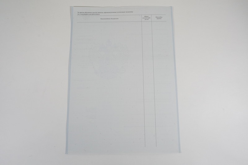 Диплом о начальном образовании 2007-2009 годов в Новочебоксарске Диплом о начальном образовании 2007-2009 годов в Новочебоксарске