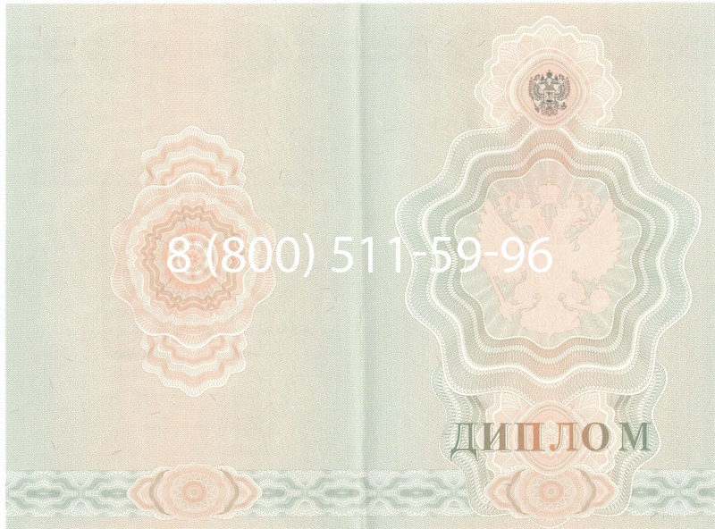 Купить Диплом ПТУ 2007-2010 годов в Новочебоксарске Купить Диплом ПТУ 2007-2010 годов в Новочебоксарске