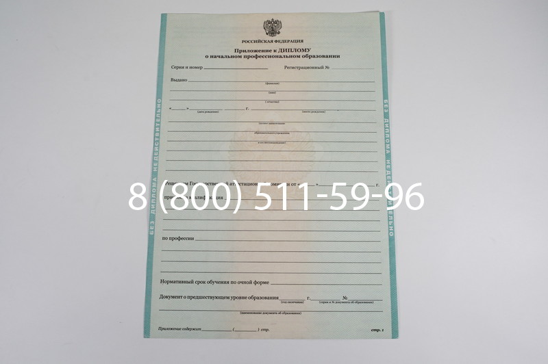 Диплом ПТУ 2014-2024 года в Новочебоксарске Диплом ПТУ 2014-2024 года в Новочебоксарске