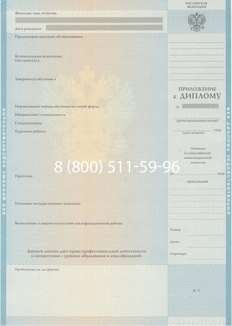 Заказать Диплом специалиста 2010-2011 годов в Новочебоксарске