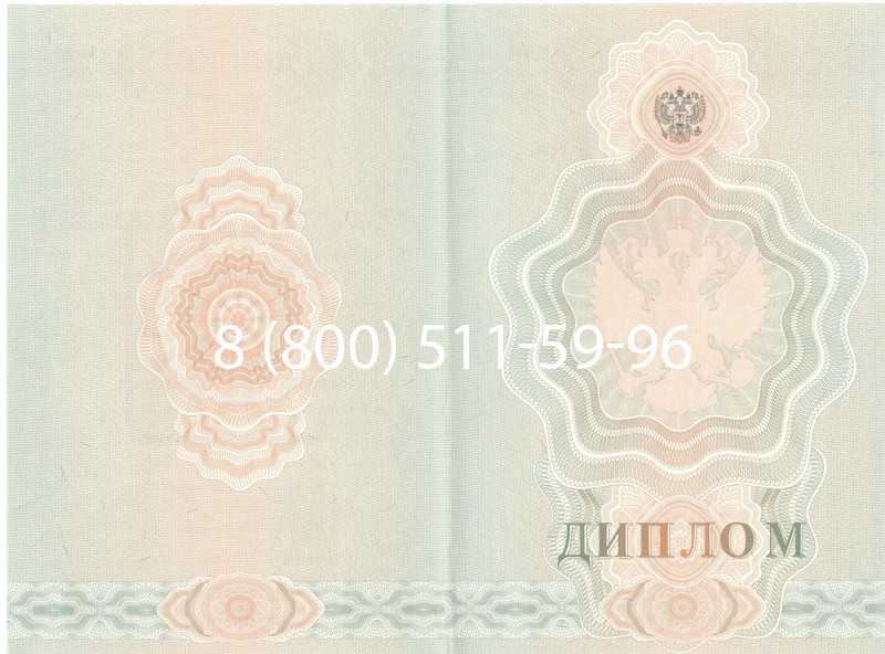 Купить Диплом училища 2007-2009 годов в Новочебоксарске Купить Диплом училища 2007-2009 годов в Новочебоксарске